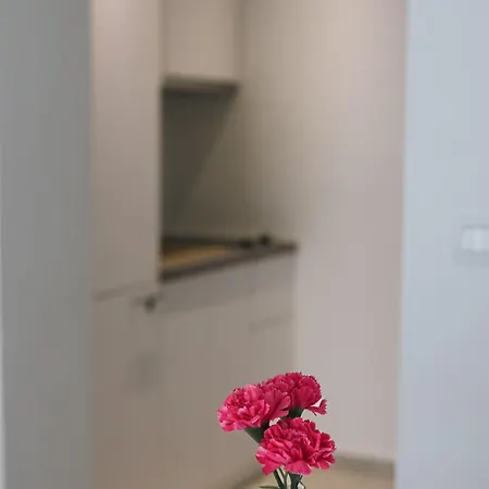 Apartman Katarina Makarska